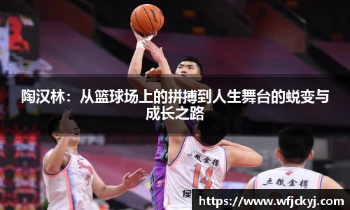 陶汉林：从篮球场上的拼搏到人生舞台的蜕变与成长之路